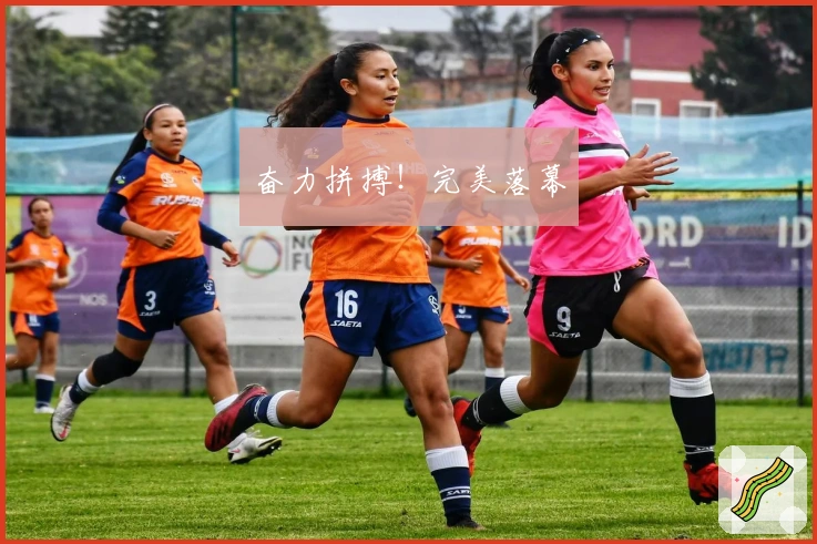 奋力拼搏！完美落幕